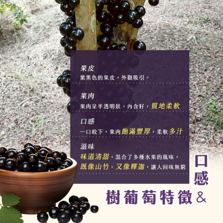 【雪莉朵辣嚴選】台中東勢樹葡萄（3斤±10%/箱）
