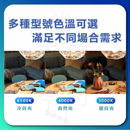 6入 LED 真彩光系列燈泡 14.5W 節能燈泡 省電燈泡（無藍光 省電燈泡 護眼）