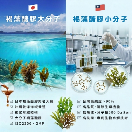 【加強防護】大分子＋小分子高純度褐藻醣膠｜日本沖繩海蘊褐藻醣膠＋台灣嚴選小分子褐藻醣膠｜芯漾生醫｜全素｜60顆玻璃罐