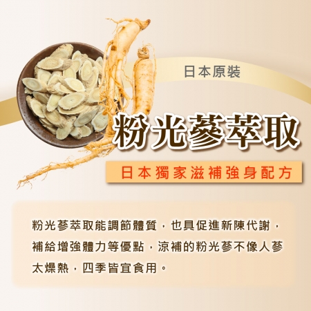 【日本富山藥品】悠樂康 元氣全效果B群EX Plus-90粒/盒（日本原裝進口）