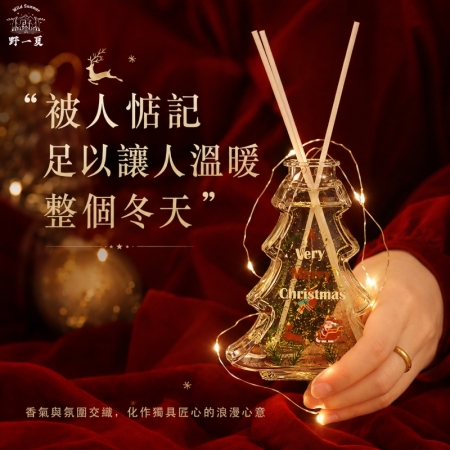【Wild Summer】聖誕香氛蠟燭擴香禮盒｜精緻包裝送禮首選 聖誕交換禮物 香氛蠟燭禮盒