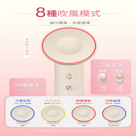 【WHALL】專業負離子吹風機 WD-901