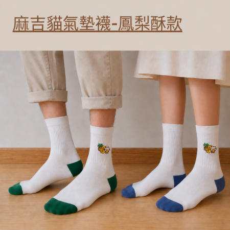 襪！不會胖的鳳梨酥禮盒 （含禮盒及四雙襪子）