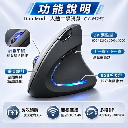 Songwin 人體工學無線滑鼠（右手專用/雙模連線/充電式） CY-M250