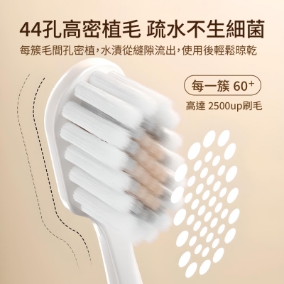  【青禾坊】抗菌深層牙刷二盒24入裝（四色各6） （抗敏護齦 超軟毛 成人牙刷  寬頭牙刷 口腔牙刷 牙縫刷 牙尖刷 極細 美白）