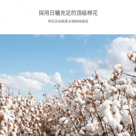【星紅織品】美容SPA專用大尺寸純棉床巾 毛巾被