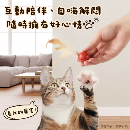 貓本屋 彈力雞毛球寵物玩具（3入組） 足球＋籃球＋棒球