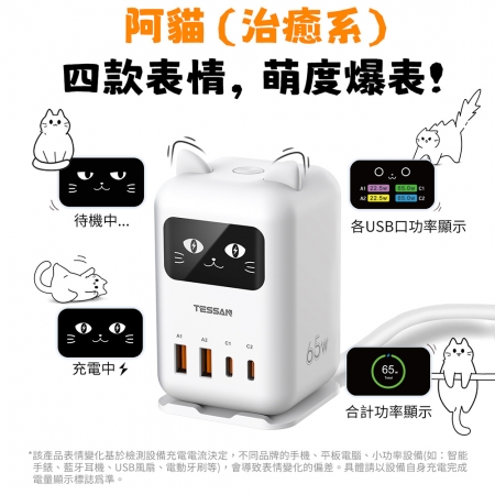 TESSAN 閃電貓65W GaN氮化鎵 快充充電器-1.8米