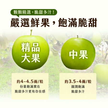 【雪莉朵辣嚴選】高雄燕巢牛奶蜜棗-大果（4斤/箱）