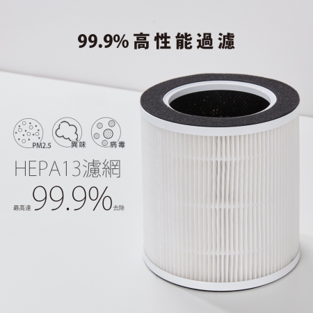 《買一送一》【PRINCESS 荷蘭公主】HEPA13濾網 （354787空氣清淨機專用）