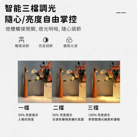 （買一送一）【好拾選物】設計師輕奢充電台燈 閱讀桌燈 氛圍燈 床頭燈-4色