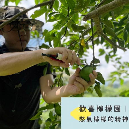 【憋氣檸檬】檸檬汁12瓶（1460ml/瓶）