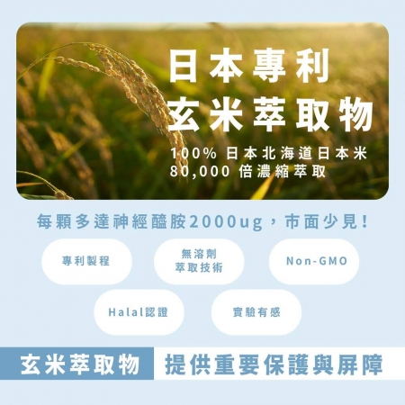 【肌の雪淬】神經醯胺（玄米萃取物20mg）＋玻尿酸80毫克＋蠶絲蛋白｜芯漾生醫｜無二氧化矽、無硬脂酸鎂｜30粒玻璃罐