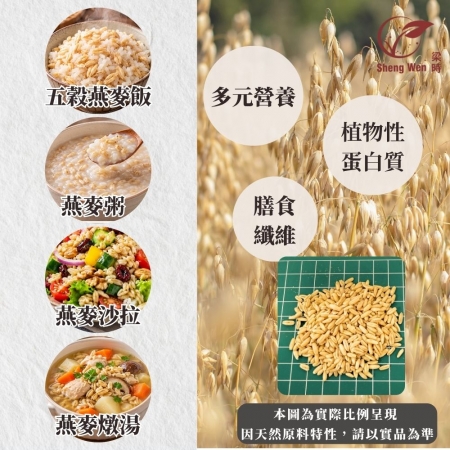 【Sheng Wen梁時】燕麥粒| 全粒燕麥 澳洲燕麥粒｜燕麥飯 雜糧粥 十穀米配料
