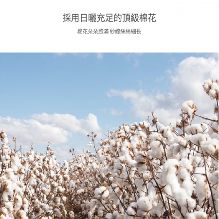 【星紅織品】可愛大眼貓純棉兒童毛巾