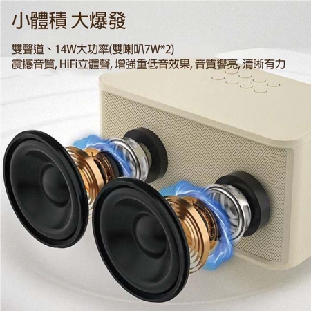 KooPin 雙人對唱行動KTV/藍牙喇叭無線麥克風組（附贈收納提袋）
