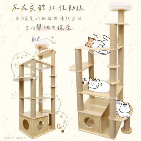 貓本屋 台灣製 雙橢圓太空艙加大貓屋實木貓跳台