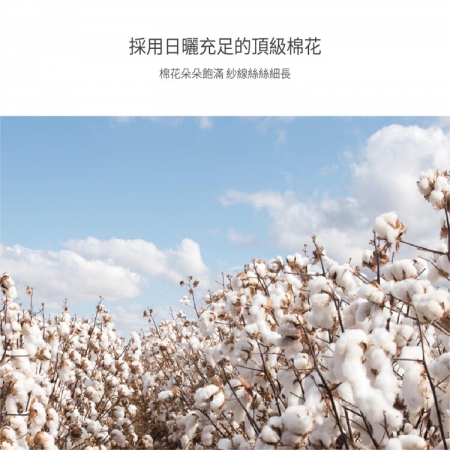 【星紅織品】100%純棉厚款速乾窄版運動浴巾（3色任選）
