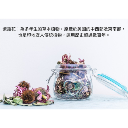 乾燥紫錐花純花（40g/包）