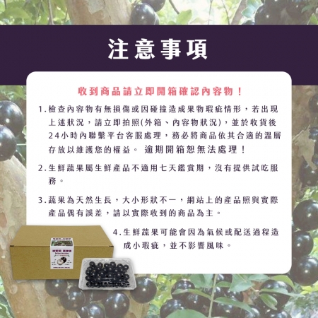 【雪莉朵辣嚴選】台中東勢樹葡萄（3斤±10%/箱）