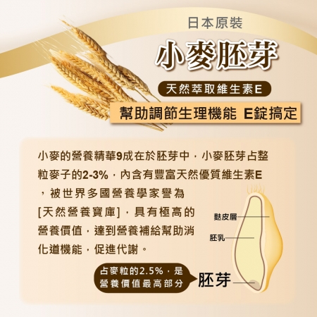 【日本富山藥品】悠樂康 元氣全效果B群EX Plus-90粒/盒（日本原裝進口）