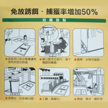 黏鼠寶超大型奶酪香黏鼠板-2入×10組