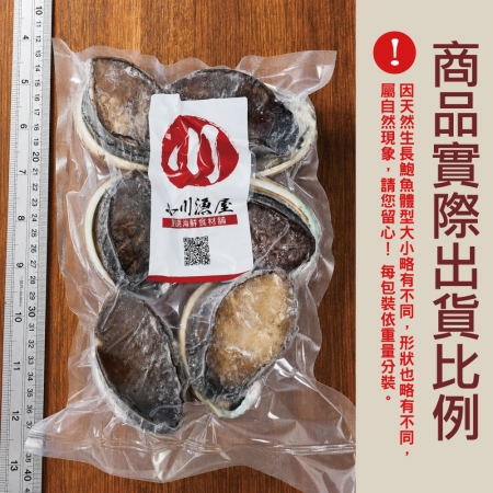 【小川漁屋】極品南非活凍帶殼鮑魚（500G＋-10%/包/約6~8粒） 
